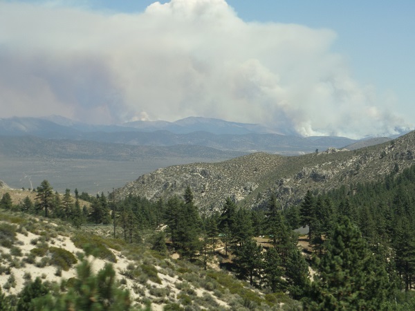 Forest fires south of Carson City