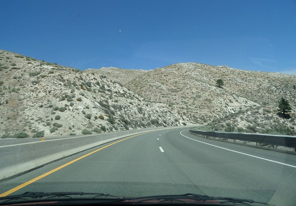 Western Nevada desert