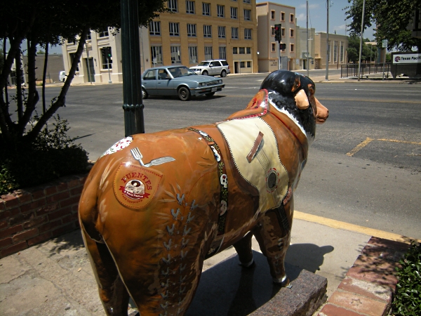 The mariachi sheep